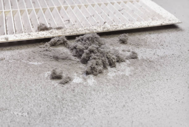 Best Home Air Vent Cleaning  in Brownsville, TX