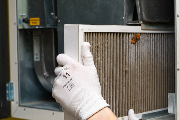 Best Dryer Vent Cleaning Services  in Brownsville, TX